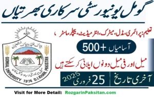 Gomal University Jobs 2025