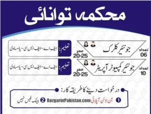 Energy Department Punjab Jobs 2025