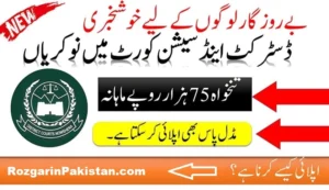 District and Session Court Thatta Jobs 2025